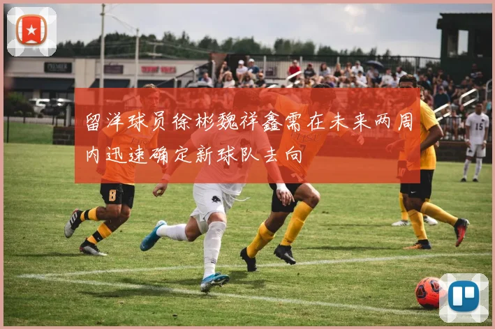 留洋球员徐彬魏祥鑫需在未来两周内迅速确定新球队去向