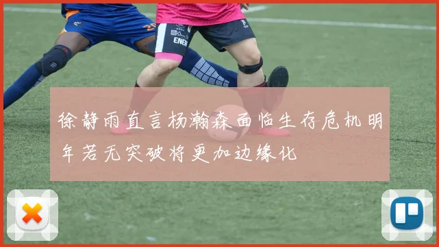 徐静雨直言杨瀚森面临生存危机明年若无突破将更加边缘化