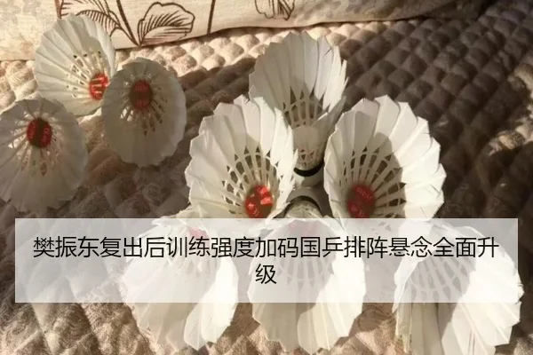 樊振东复出后训练强度加码国乒排阵悬念全面升级 - kaiyun